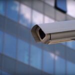 WatchDog Polska sieć obywatelska