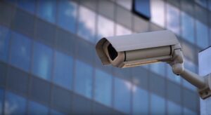 WatchDog Polska sieć obywatelska